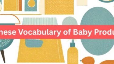 cover image of Chinese Vocabulary of Baby Products