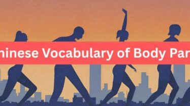 cover image of post Chinese vocabulary of body parts