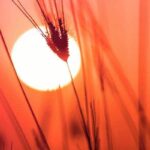 How to use 起来qilai in Chinese