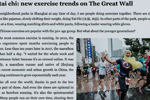 chinese culture article