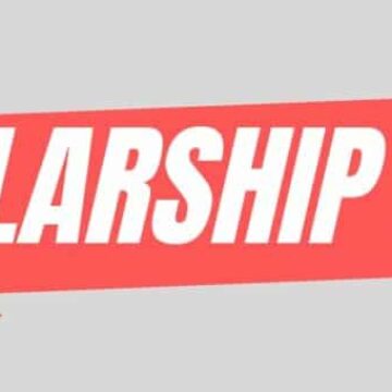 Mandarin Progress Scholarship 2024