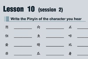 chinese workbook