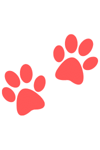 11-animals