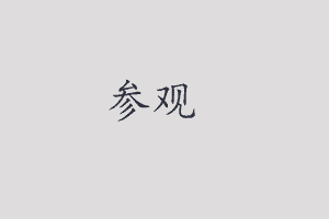 chinese flashcards